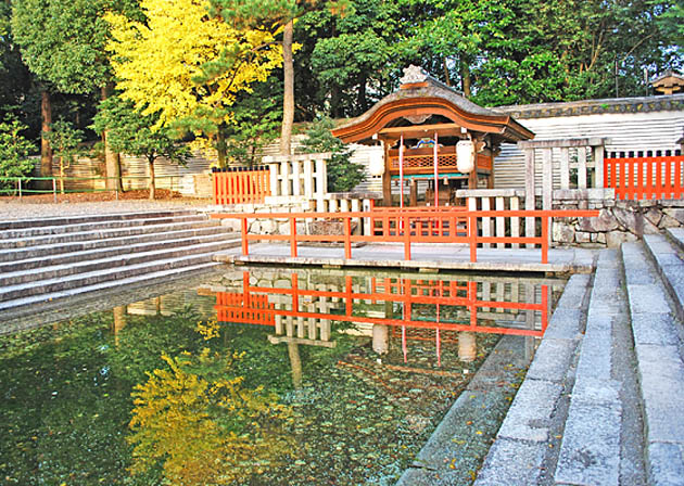 京都の神社下鴨神社5